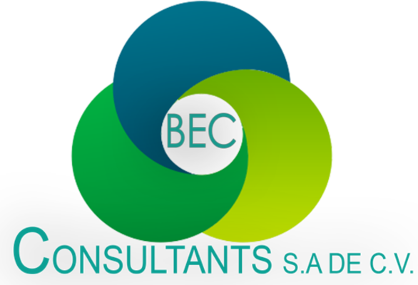 business engineering consultants
